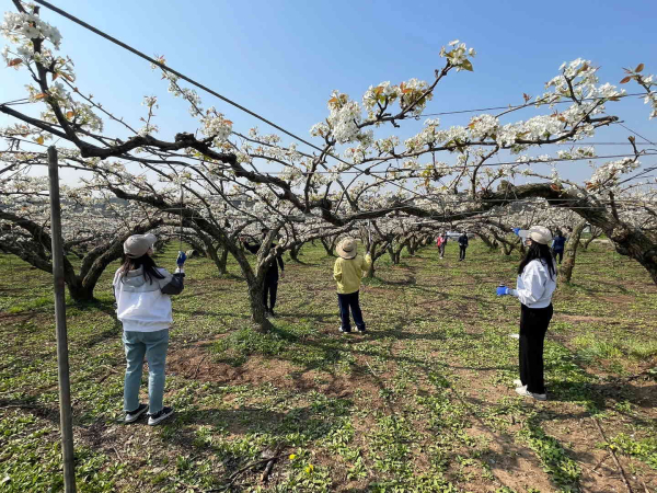 농촌일손돕기 봉사활동 장면