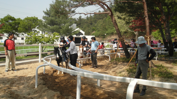 복용승마장 학생승마체험 운영 모습