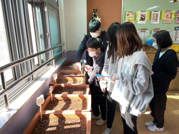 글벗초 6학년 학생들이 상추를 심으며 친환경 농업 활동을 펼치고 있다