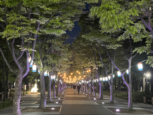 서구청 앞 보라매공원 야간 경관조명 설치 사진