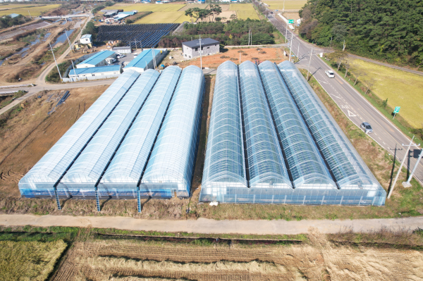스마트팜 재배시설 사진(청소면 연동형 딸기재배시설)