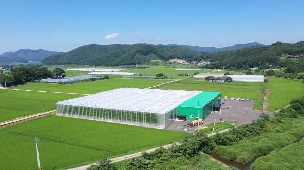 스마트팜 재배시설 사진(청라면 오이재배시설)