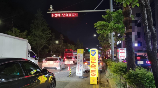 음주운전 및 체납차량 합동 단속 현장 모습