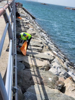 장고항 일원 청결활동 진행 사진