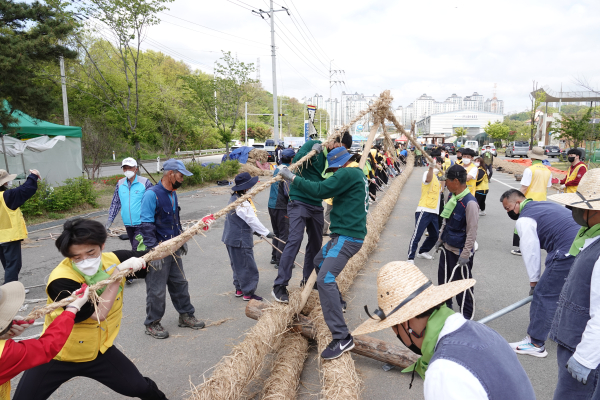 기지시줄다리기 큰 줄 제작 사진