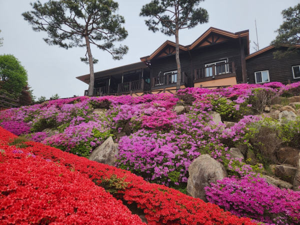 용봉산자연휴양림/홍성군 제공
