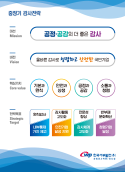 서부발전의 중장기 감사전략