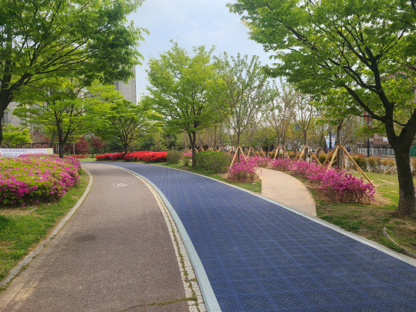개선된 천안축구센터 산책로