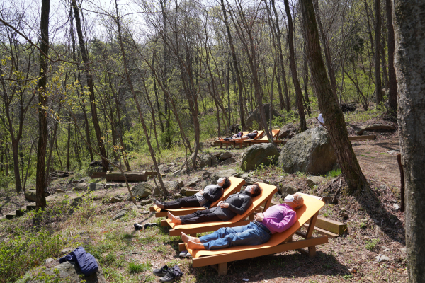 치유의 숲 프로그램에 참여한 시민 모습