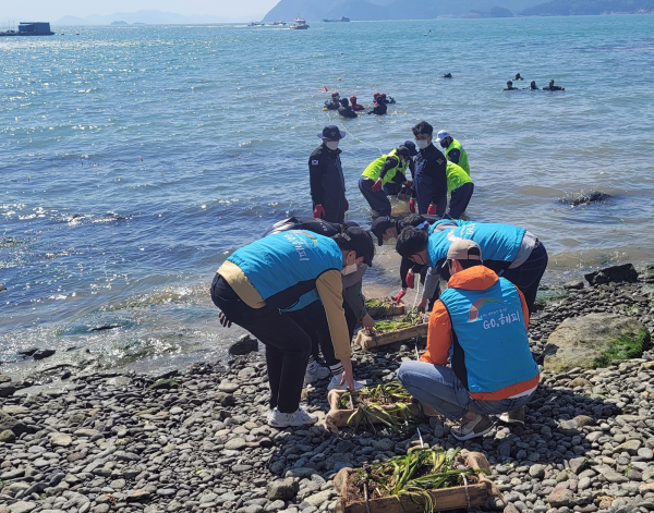 4일 전남 여수시 금오도 일원에서 질피심기와 연안 및 수중정화활동 실시
