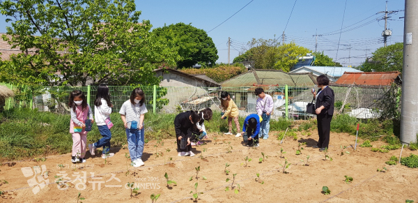 합덕수리민속박물관 농사체험