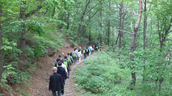 숲산책 및 해먹체험