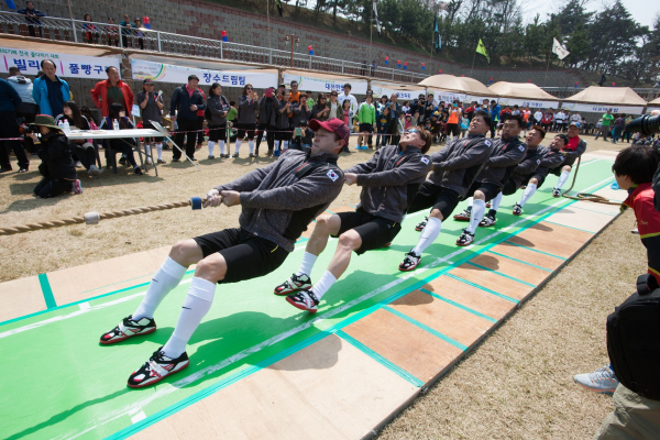 당진시 전국 스포츠 줄다리기 대회 사진