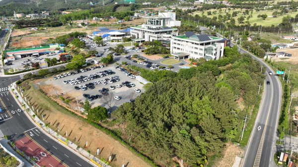 보령시청사 주변 산책길 및 공원사진