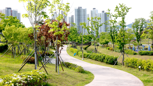 보령시청사 주변 공원사진