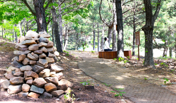 보령시청사 주변 산책길 모습
