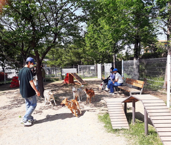 대덕구 반려동물놀이터 모습