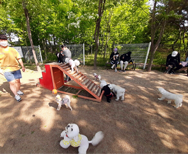 대덕구 반려동물놀이터 모습