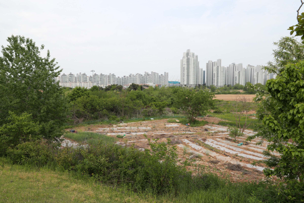 내포신도시 종합병원부지/충남도 제공