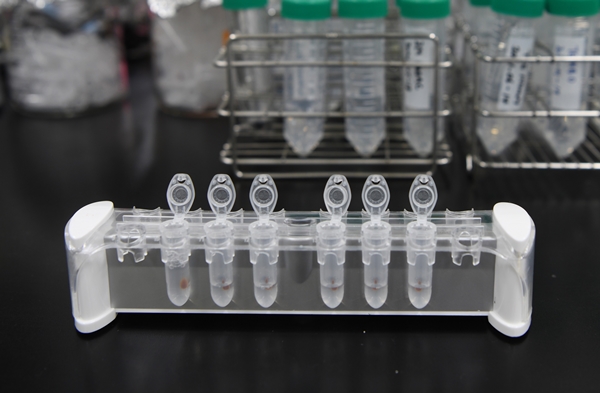 KRISS 연구진이 분리정제 중인 DNA 손상조각