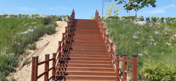 불당동 천안시민체육공원에 설치된 보행자 목재 계단