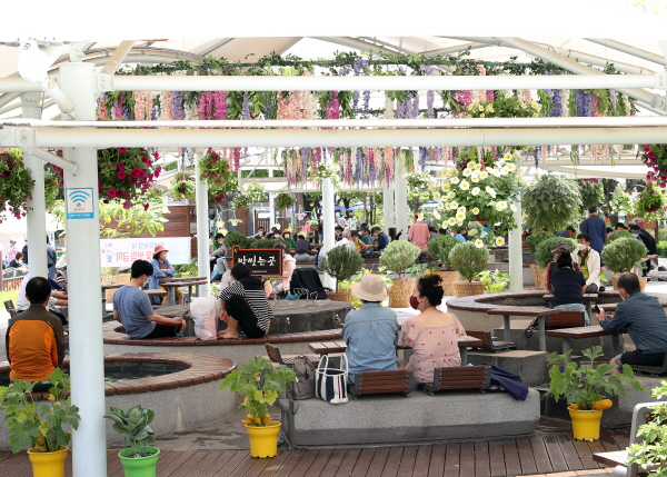 제1회 유성온천 봄꽃 전시회에 찾은 시민들이 족욕체험장에서 족욕을 즐기며 꽃을 관람하고 있다