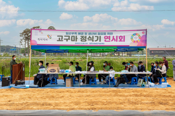 고구마 정식기 연시회 현장
