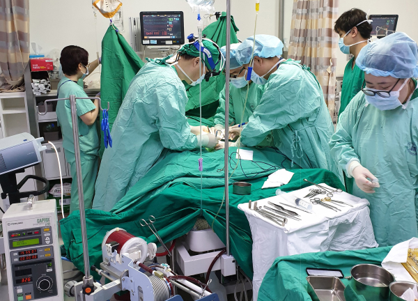 에크모거치술 모습