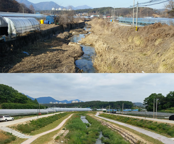 진잠천 고향의 강 정비사업 전, 후 사진