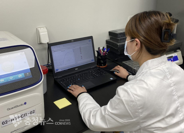 인플루엔자 바이러스 검출모습/충남도 제공