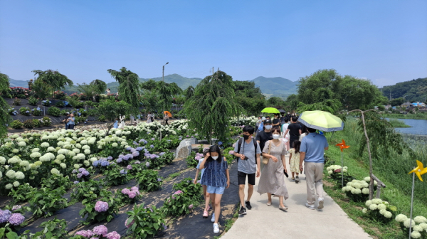 유구색동수국정원 현장 모습