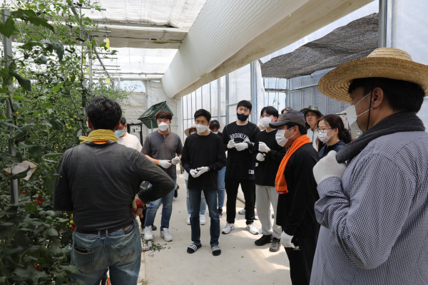 농촌일손돕기 봉사활동 모습