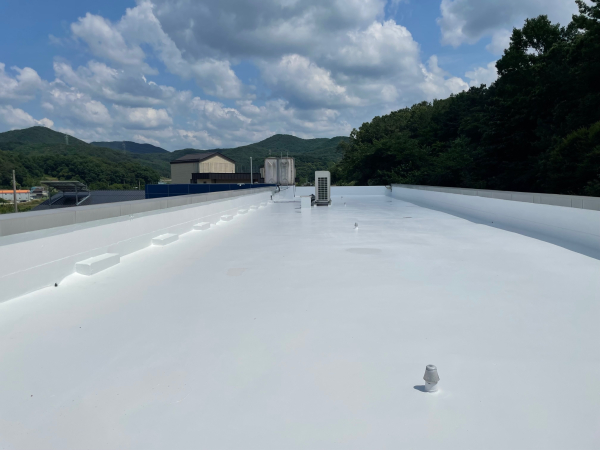 기성초등학교 옥상 사업완료 사진