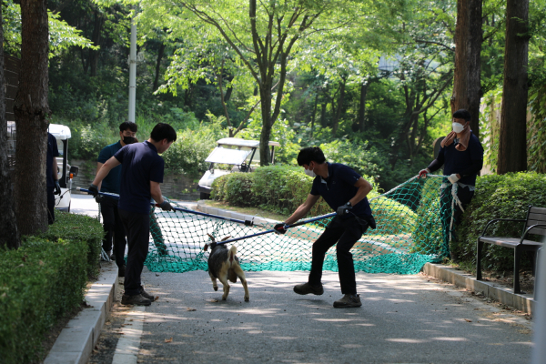대전오월드 사육사들이 탈출동물 포획 모의훈련을 실시하고 있다.
