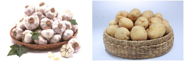 서산6쪽마늘, 팔봉산감자