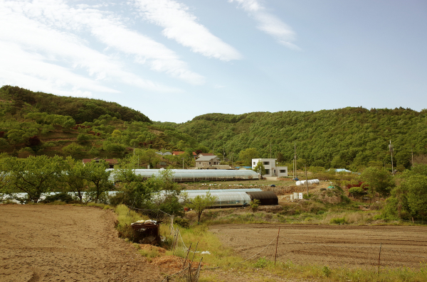 은산면 나령리 마을 전경