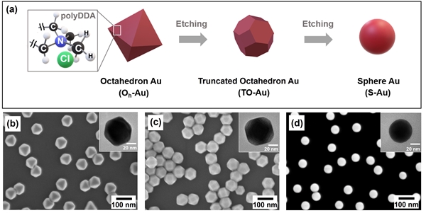 부식과정에 의해 형태가 변화하는 금 나노입자 모식도(a) 및 팔면체, 다면체, 구형으로 각기 다른 모양의 균일한 구조를 가진 금 나노입자의 현미경 사진(b, c, d)