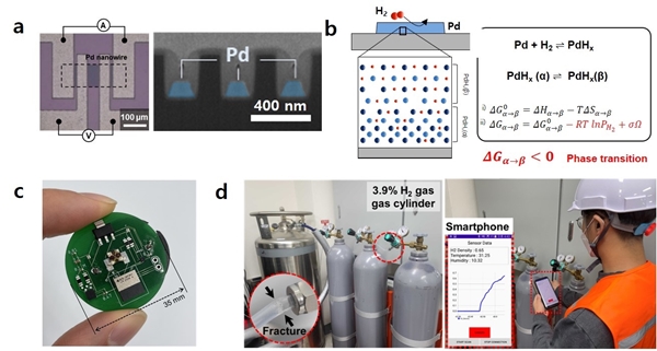 KAIST 연구팀이 개발한 팔라듐 나노구조 기반 수소 센서
