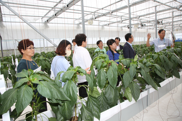 금산군수직 인수위원회 현장 방문 모습