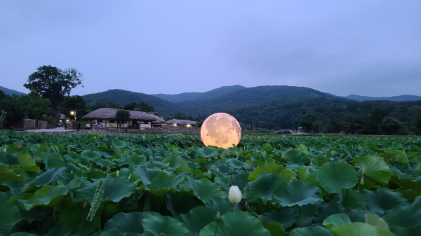 아산문화제야행 행사 장면