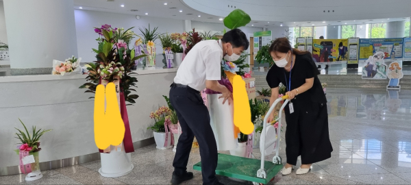 1일 대전시의회 로비에 축하 난 화분이 쌓여 있는 모습. 사무처 직원들은 각 의원실에 배달하기 위해 수레에 화분을 실고 있다.