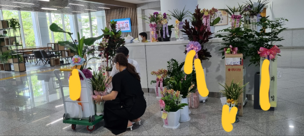 1일 대전시의회 로비에 축하 난 화분이 쌓여 있는 모습. 사무처 직원들은 각 의원실에 배달하기 위해 수레에 화분을 실고 있다.