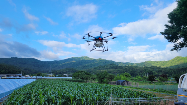 드론으로 조합원 농촌일손돕기 모습
