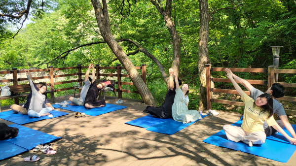 상반기 숲태교 프로그램 진행 모습