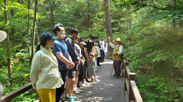 상반기 숲태교 프로그램 진행 모습