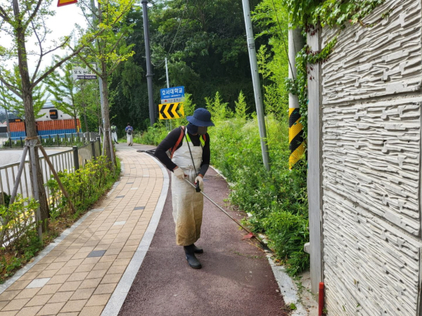 제초작업 진행 장면