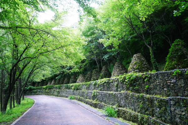 상소동 산림욕장 모습