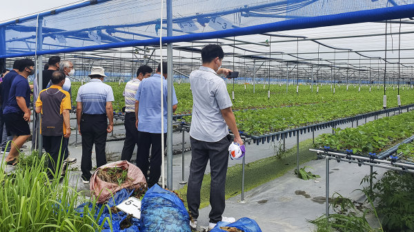 서산시 농업인대학 딸기 교육과정