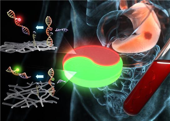 혈액 내 다종의 위암 유전자 마커 동반 검출이 가능한 야누스 하이드로젤 기반의 형광 센서 설명 그림