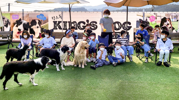 지난 7월 다함께돌봄 부석센터 애견카페 견학 모습